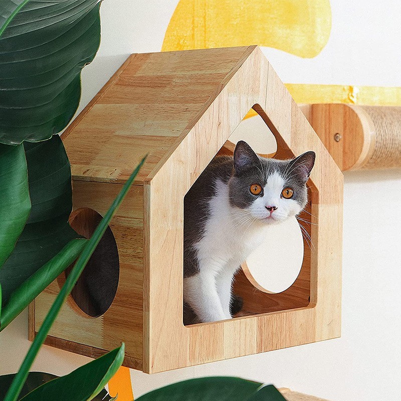 Pet wooden toys
