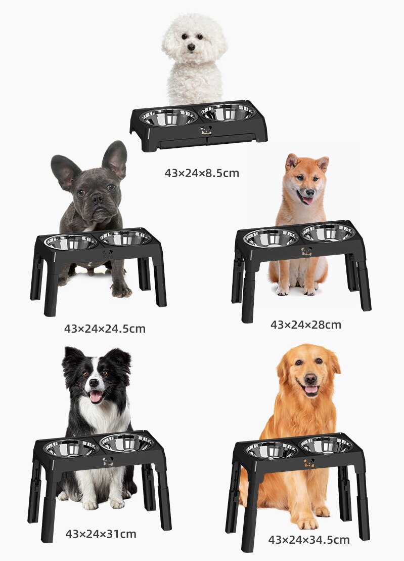 Longteng's new pet dining table